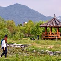 삼락생태공원 사진